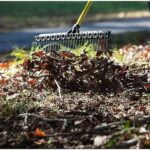 Groundskeeper Rakes: The Ideal Tool for Your 22cm Garden Maintenance