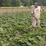 Neversink Farm Tools: Innovating Efficiency in Agriculture