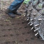 Optimize seedlings in your garden with seedbed rollers