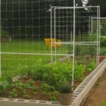 Plant Support Netting: The Ideal Mesh for Supporting Your Plants