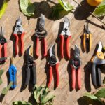 Pruning Shears & Secateurs: Essential Tools for Pruning Lettuce