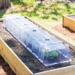 Raised Bed Cloche Cover: Protect and Enhance Your Garden