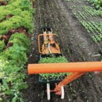 Transform your gardening with the handy Paper Pot Transplanter