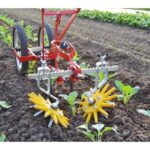 Upgrade Your Garden with the Terrateck Finger Weeder